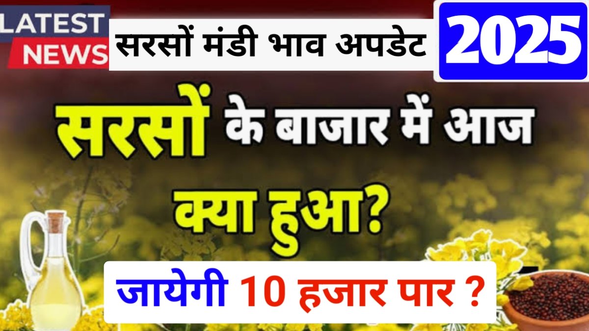 Aaj Ka Sarso Ka Bhav